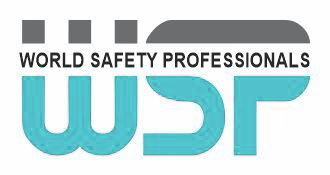 World safety professional